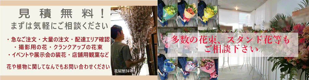花に関する見積りやお問合せ、お気軽に。東京都内対応。