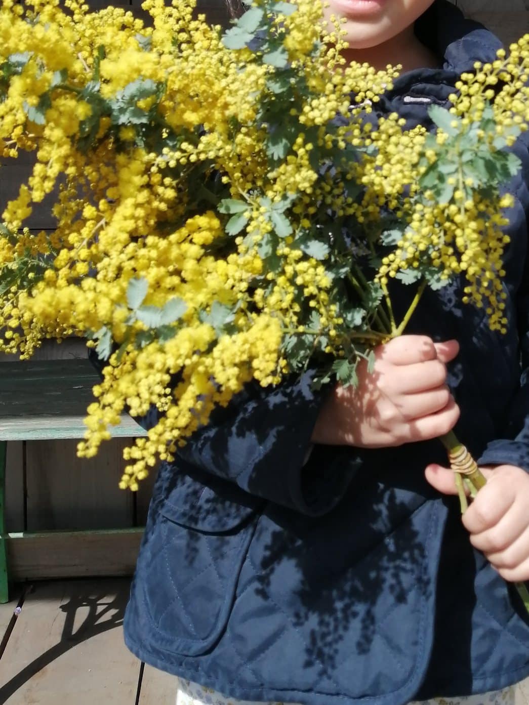 「ミモザの日」国際女性デー