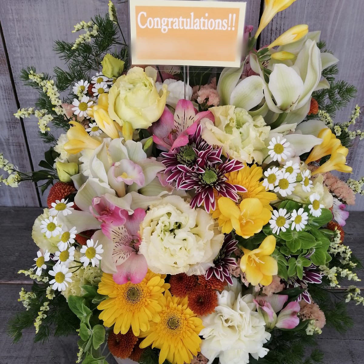 アパレルショップの開店御祝い