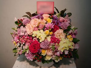 芳根京子様宛(日本アカデミー賞受賞御祝)