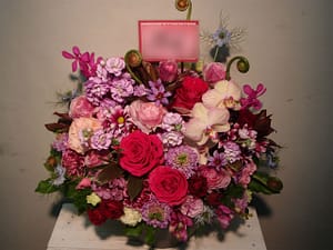 安藤サクラ様宛(日本アカデミー賞受賞御祝)