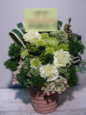 男性アーティスト グリーン系