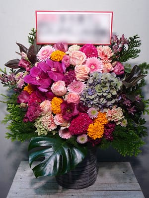 女性アーティスト ライブ