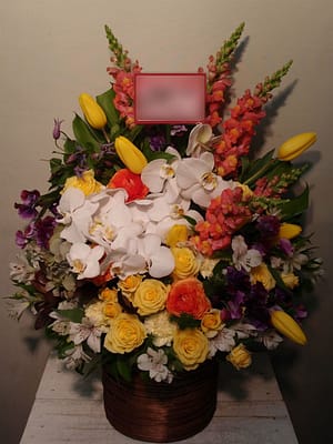 伊藤健太郎様宛(日本アカデミー賞受賞御祝)