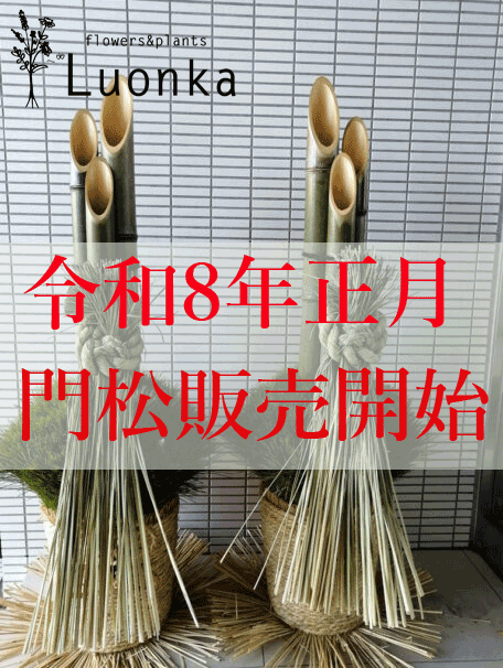 ANGEL　門松A 別寸別注品 令和8年正月 大門松の販売開始 - 花と植物ルオンカ 個性的な花贈りを