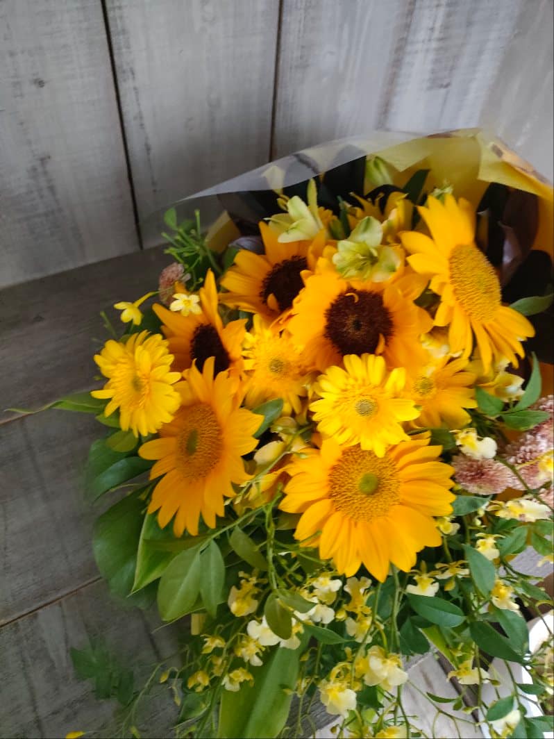 TBSラヴィット 5