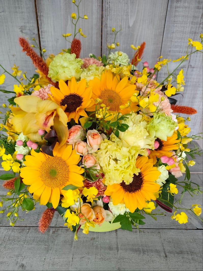 北沢 ペットショップ開店 1