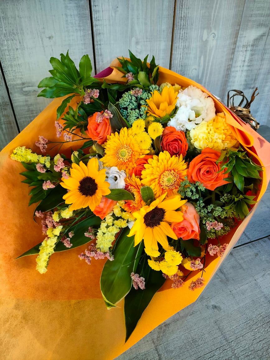 ラヴィット 5 モグライダー芝