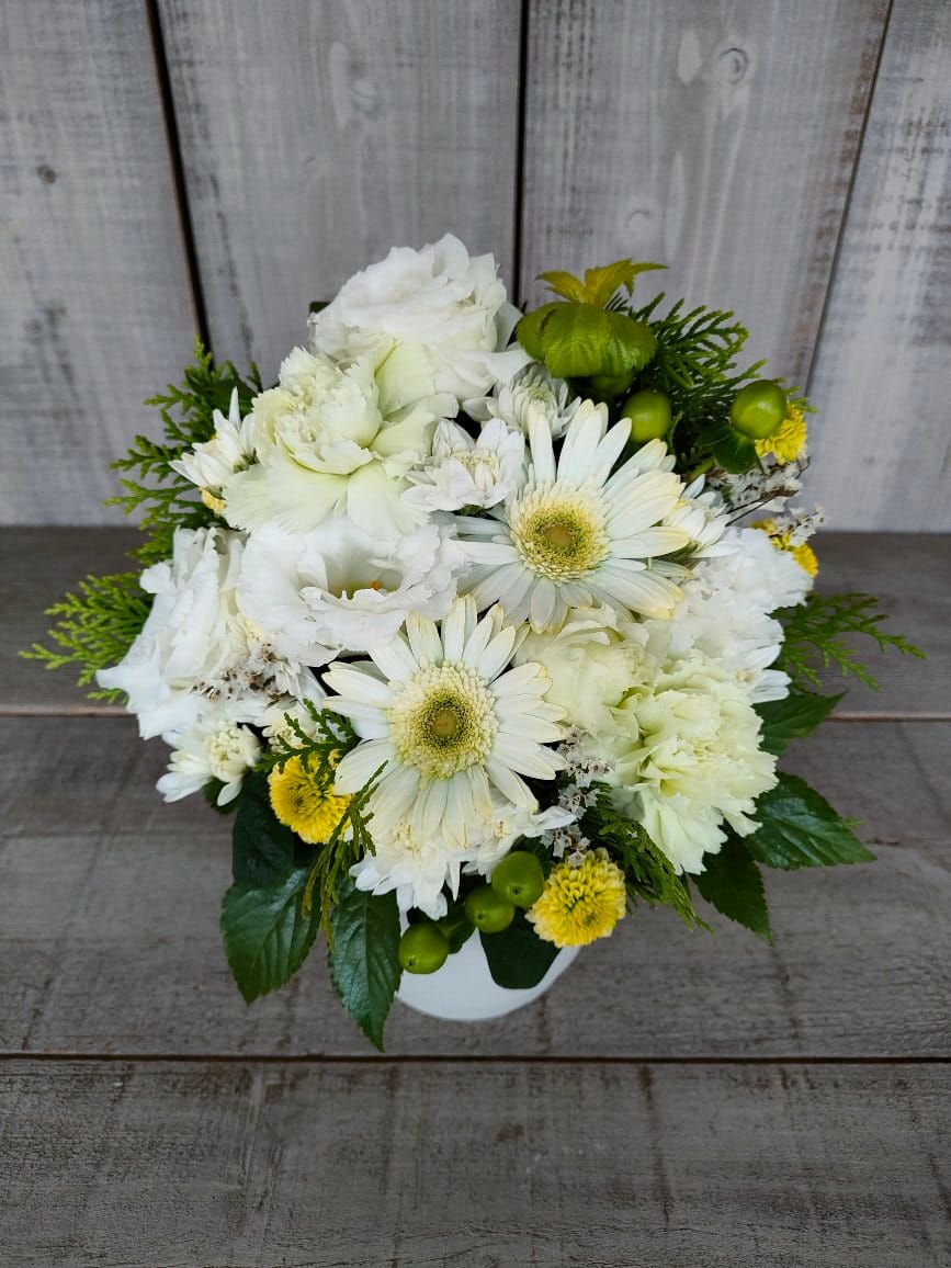 3000 南青山スタジオ ノースショア