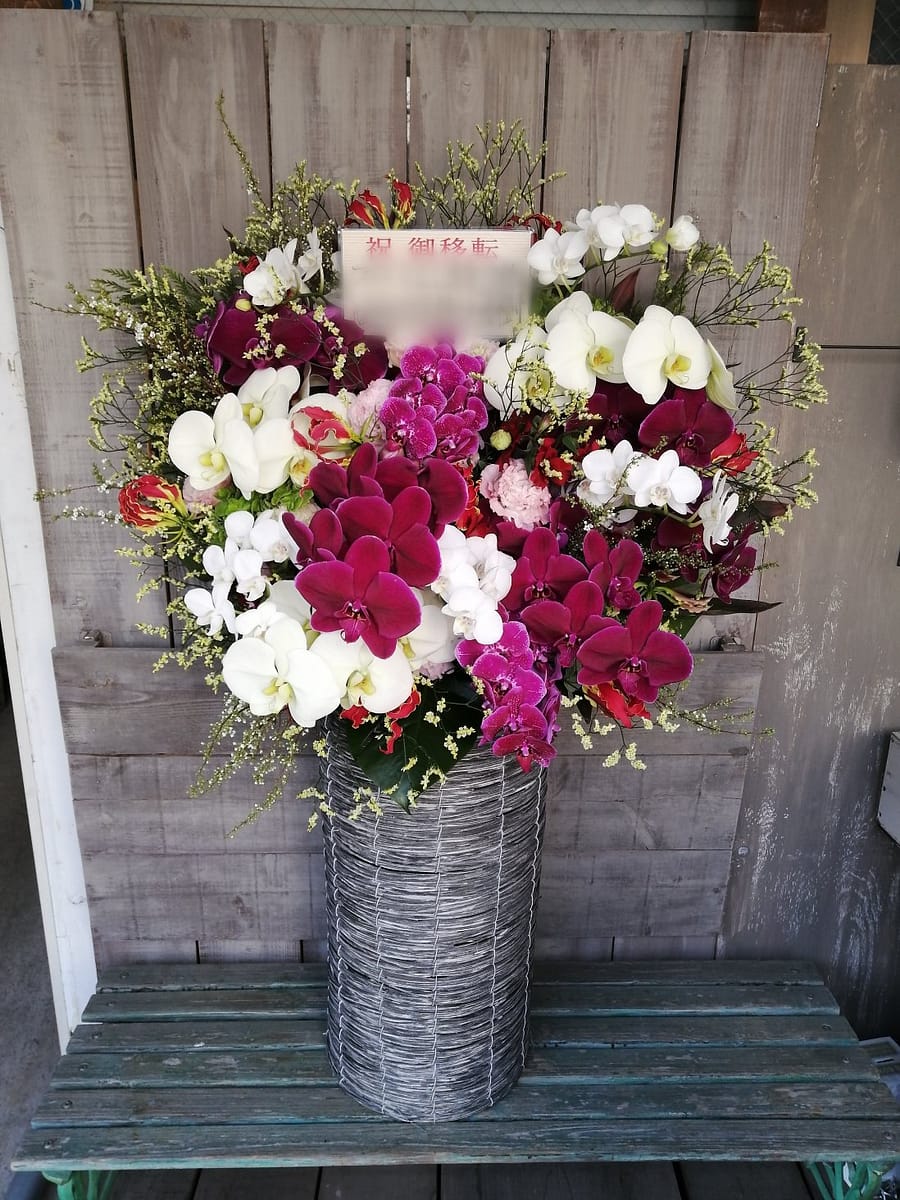 胡蝶蘭のアレンジメント