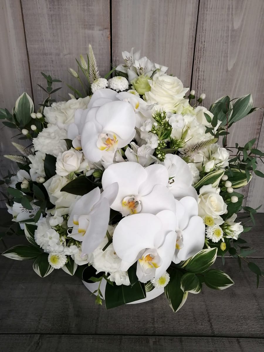 お悔みの供花 白の胡蝶蘭 鎌倉 10000