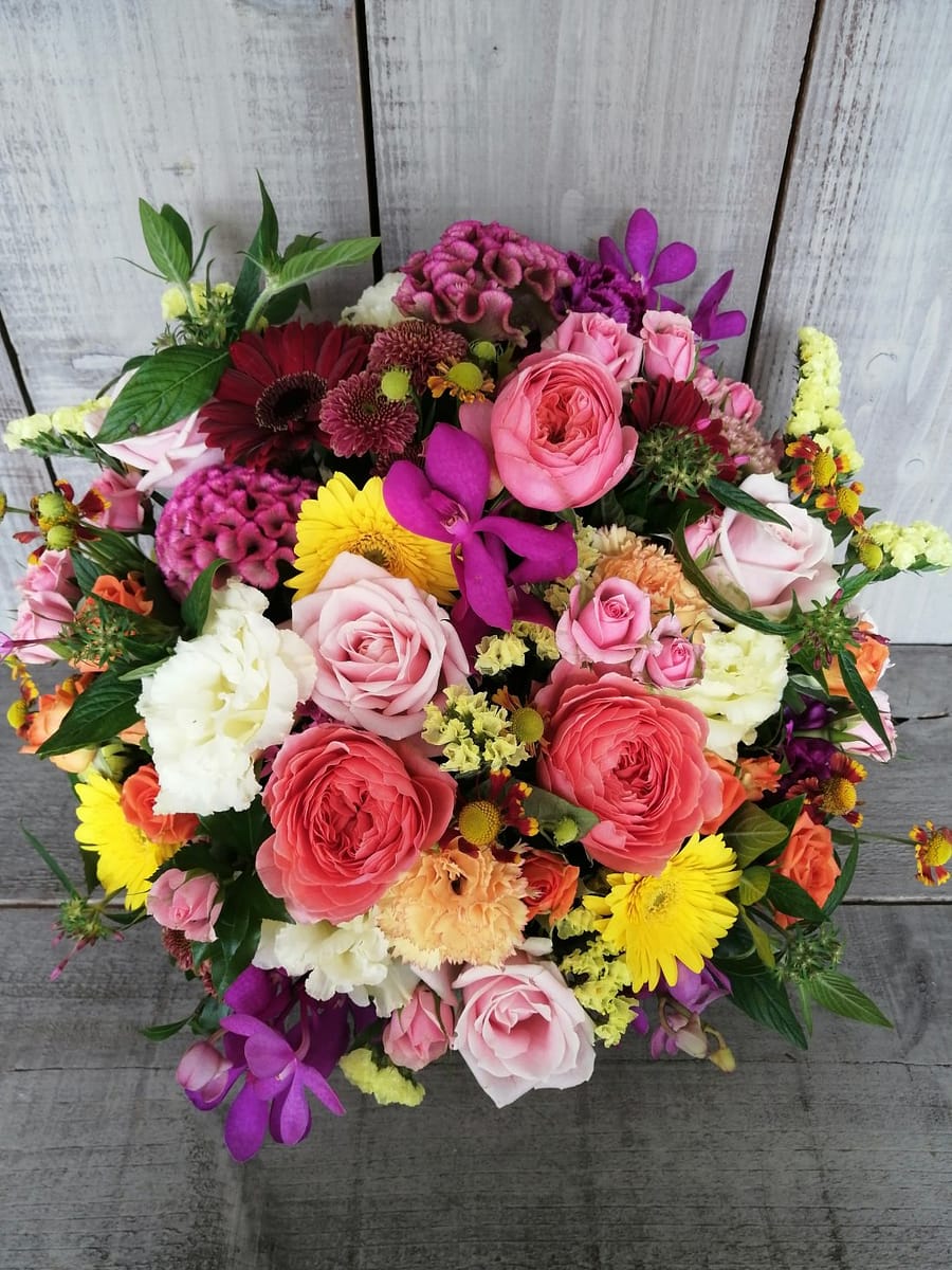 アレンジメント 母の誕生 中野