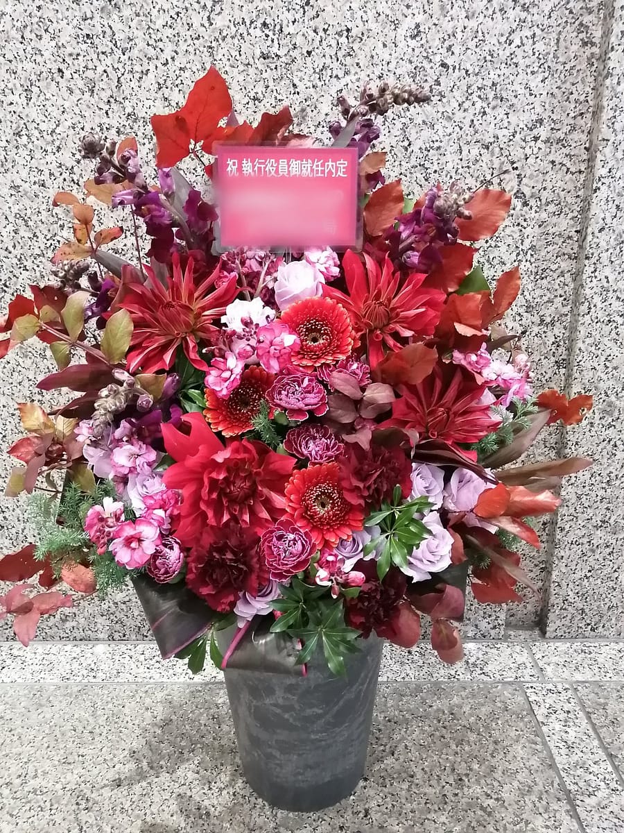 役員就任御祝い 赤系