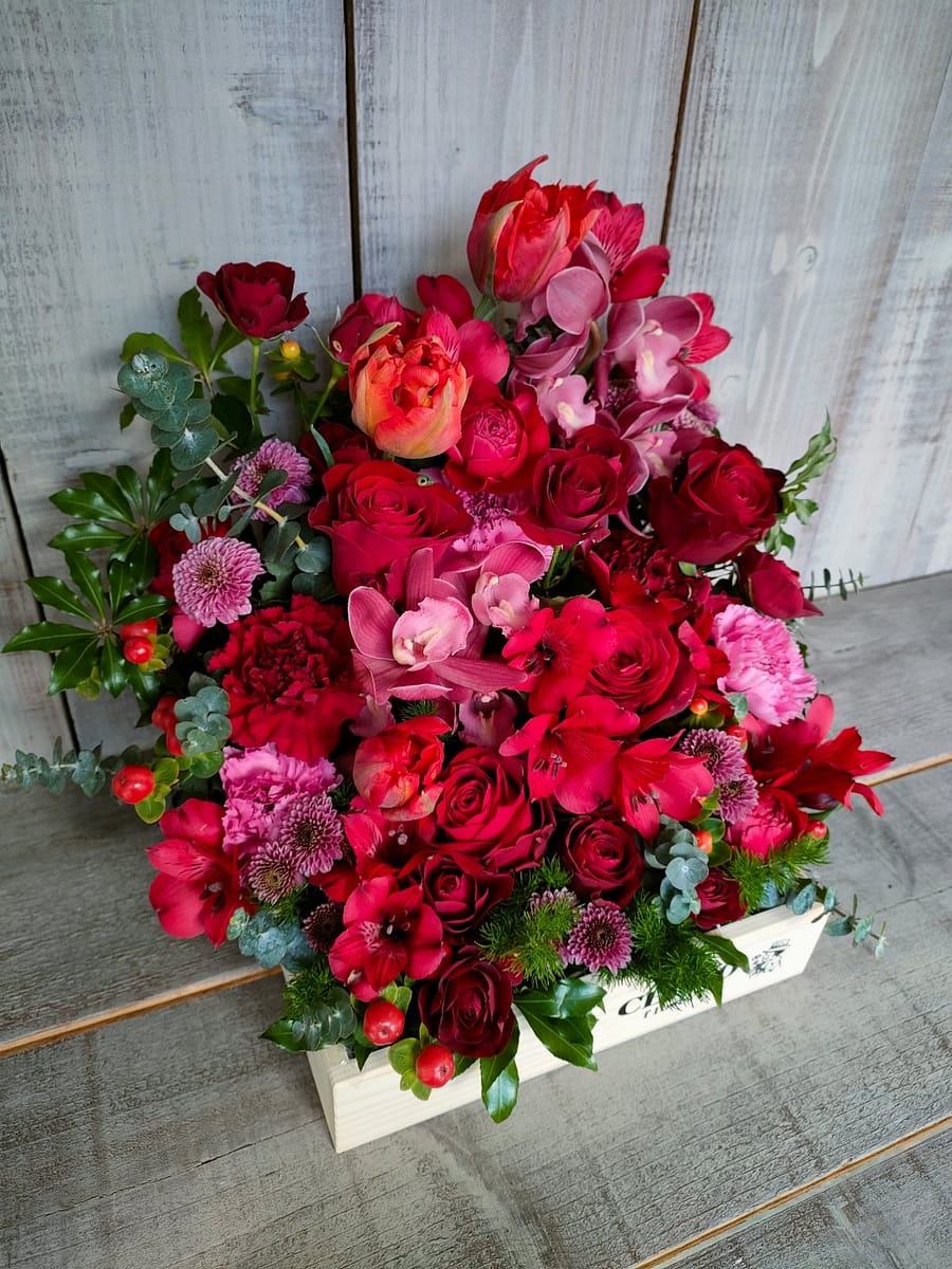 金沢 Mサイズ 還暦