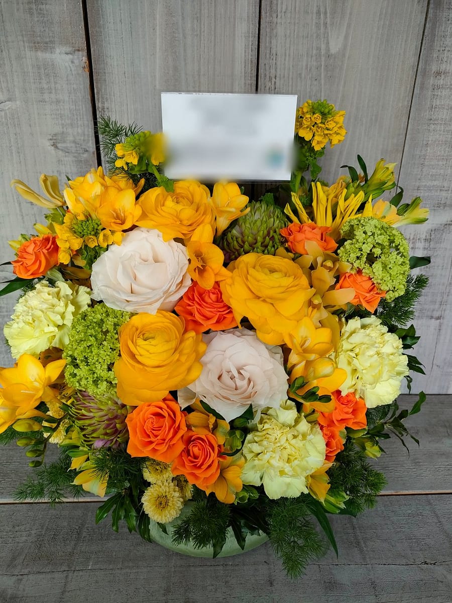 大和田さくらホール 8000