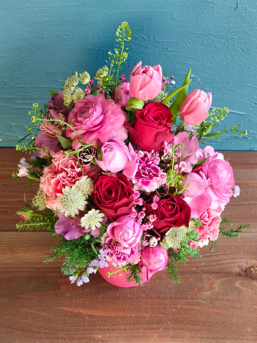 イエロースタジオ