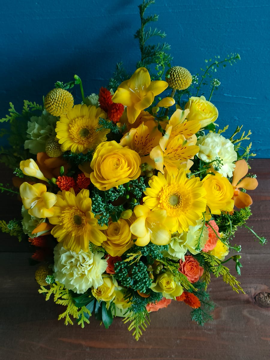 インディペンデントシアターOji