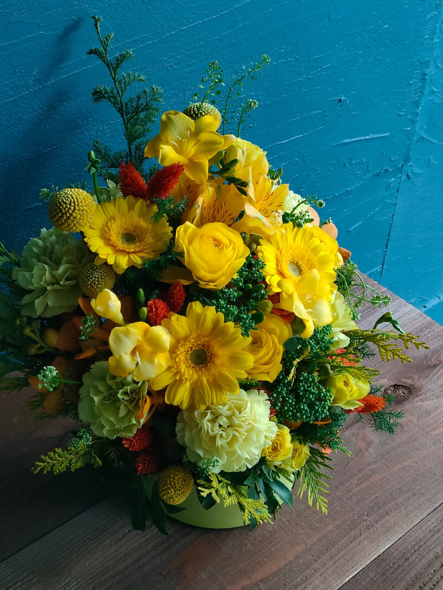 インディペンデントシアターOji